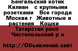 Бенгальский котик Килиан , с крупными розетками - Все города, Москва г. Животные и растения » Кошки   . Татарстан респ.,Чистопольский р-н